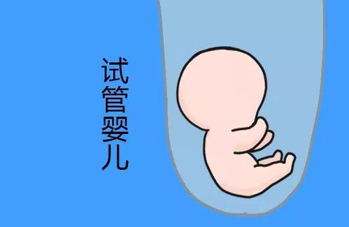 私人高龄代怀助孕服务哪家好